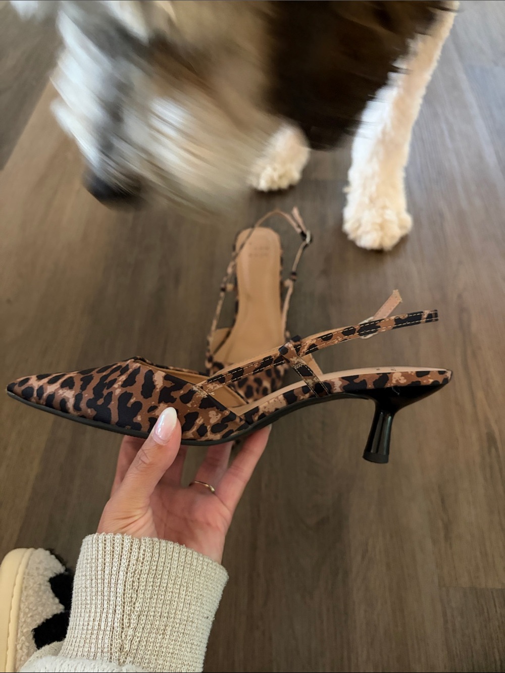 a new day Leopard-Print Pointed Toe Slingback Heels - Black & Brown - Picture 2 of 3